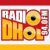 Radio Dhol 94.0 FM