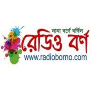Radio Borno Logo