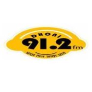Radio Dhoni 91.2 FM Logo