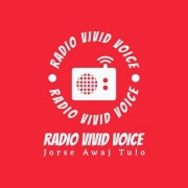 Radio Vivid Voice Logo